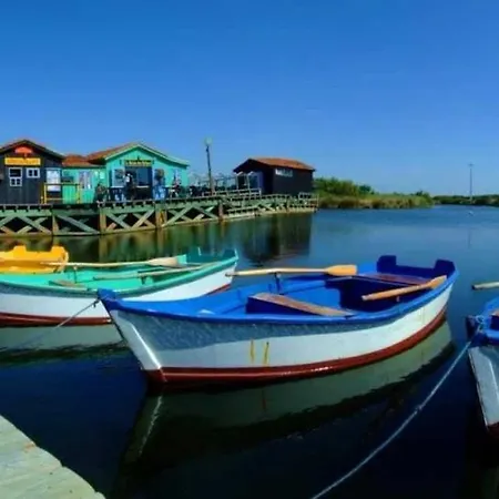 Kamp alanı 4 Etoiles - Piscine - Ccbbiai Saint-Trojan-les-Bains